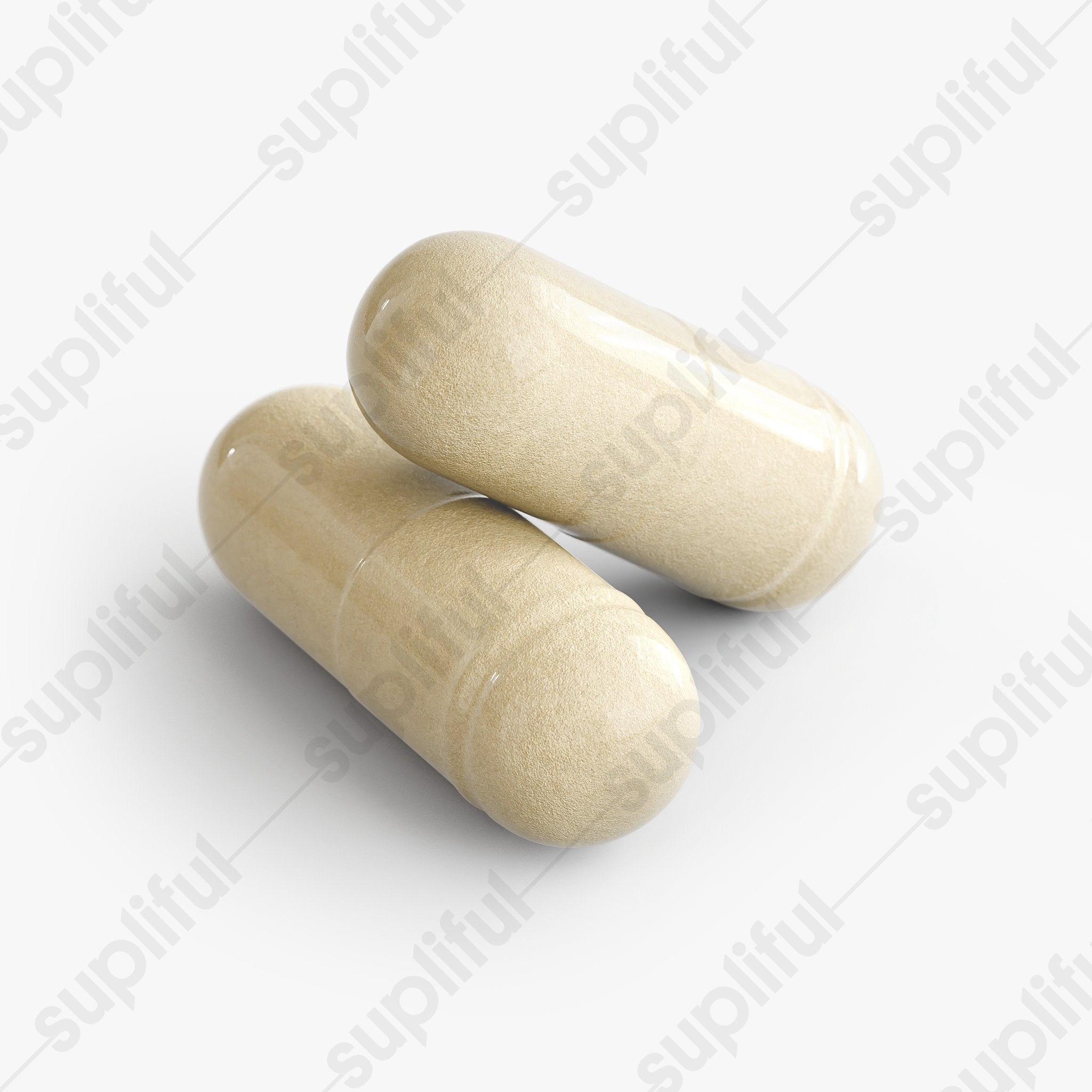 Gut Harmony Probiotics
