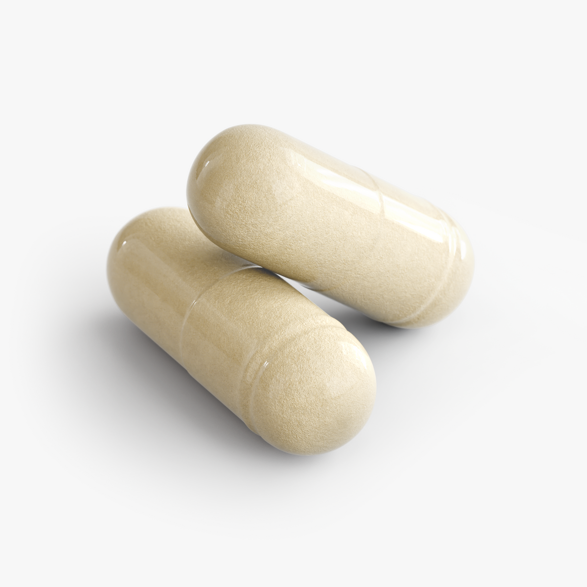 Gut Harmony Probiotics